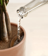 Load image into Gallery viewer, Hammered Peach Pink stand:all
