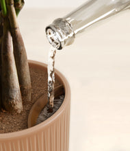 Load image into Gallery viewer, Striped Peach Pink stand:all
