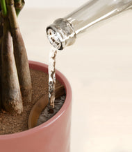 Load image into Gallery viewer, Hammered Rose Pink stand:all
