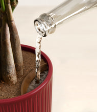 Load image into Gallery viewer, Striped Cherry Red stand:all
