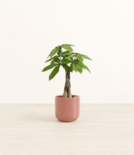 Load image into Gallery viewer, Hammered Rose Pink*****Profile
