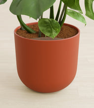 Load image into Gallery viewer, Earth Red stand:all
