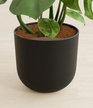 Load image into Gallery viewer, Stone Black stand:all
