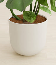 Load image into Gallery viewer, Natural Bamboo stand:all
