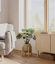 Load image into Gallery viewer, Olive stand:light
