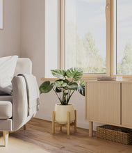 Load image into Gallery viewer, Almond Green stand:light
