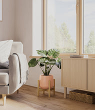 Load image into Gallery viewer, Calm Rose stand:light
