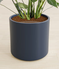 Load image into Gallery viewer, Deep Navy stand:all
