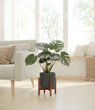 Load image into Gallery viewer, Dark Olive stand:dark
