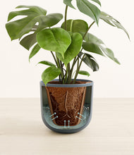 Load image into Gallery viewer, Iron Gray stand:all
