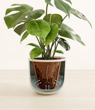 Load image into Gallery viewer, Natural Bamboo stand:all
