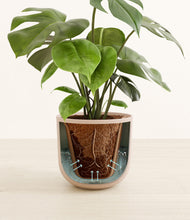 Load image into Gallery viewer, Sandy Pink stand:all

