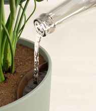 Load image into Gallery viewer, Sage Green stand:all
