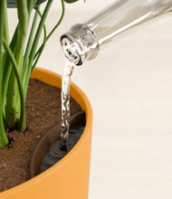 Load image into Gallery viewer, Sunset Orange stand:all
