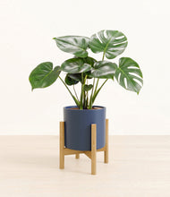 Load image into Gallery viewer, Deep Navy stand:light
