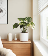Load image into Gallery viewer, White
