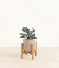 Load image into Gallery viewer, Eternal Gray stand:bamboo
