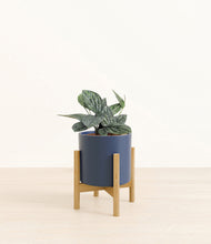 Load image into Gallery viewer, Deep Navy stand:bamboo
