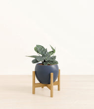 Load image into Gallery viewer, Deep Navy stand:bamboo
