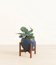 Load image into Gallery viewer, Deep Navy stand:dark
