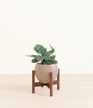 Load image into Gallery viewer, Desert Brown stand:dark
