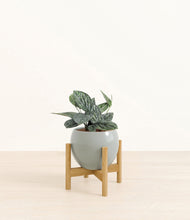 Load image into Gallery viewer, Deep Ocean stand:bamboo
