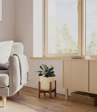 Load image into Gallery viewer, Almond Green stand:walnut
