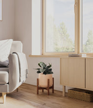 Load image into Gallery viewer, Gentle Pink stand:walnut
