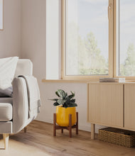 Load image into Gallery viewer, Mustard stand:walnut
