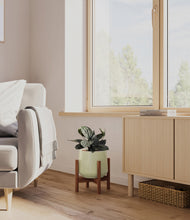 Load image into Gallery viewer, Turquoise stand:walnut
