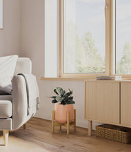 Load image into Gallery viewer, Calm Rose stand:bamboo
