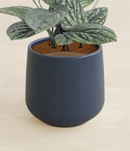 Load image into Gallery viewer, Deep Navy stand:all
