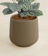 Load image into Gallery viewer, Olive stand:all
