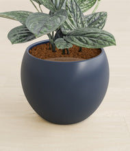 Load image into Gallery viewer, Deep Navy stand:all
