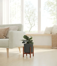 Load image into Gallery viewer, Dark Olive stand:dark
