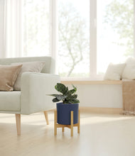 Load image into Gallery viewer, Deep Navy stand:light
