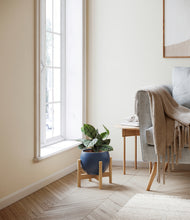 Load image into Gallery viewer, Deep Navy stand:light
