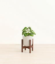 Load image into Gallery viewer, Natural Bamboo stand:walnut
