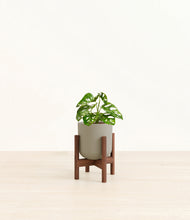 Load image into Gallery viewer, Sage Green stand:walnut
