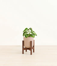 Load image into Gallery viewer, Sandy Pink stand:walnut
