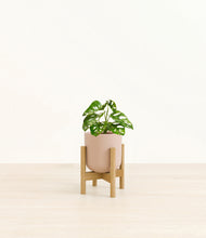 Load image into Gallery viewer, Sandy Pink stand:bamboo
