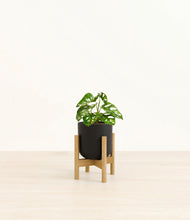 Load image into Gallery viewer, Stone Black stand:bamboo

