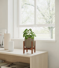 Load image into Gallery viewer, Olive stand:walnut

