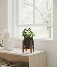 Load image into Gallery viewer, Black stand:walnut
