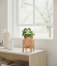 Load image into Gallery viewer, Calm Rose stand:bamboo
