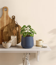 Load image into Gallery viewer, Deep Navy
