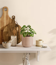 Load image into Gallery viewer, Sandy Pink
