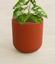 Load image into Gallery viewer, Earth Red stand:all
