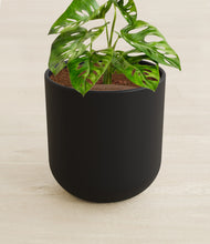 Load image into Gallery viewer, Stone Black stand:all
