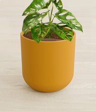Load image into Gallery viewer, Sunset Orange stand:all
